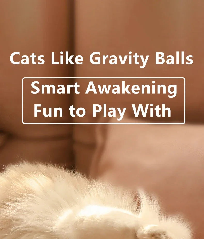 🐾 Smart Rotating Pet Ball