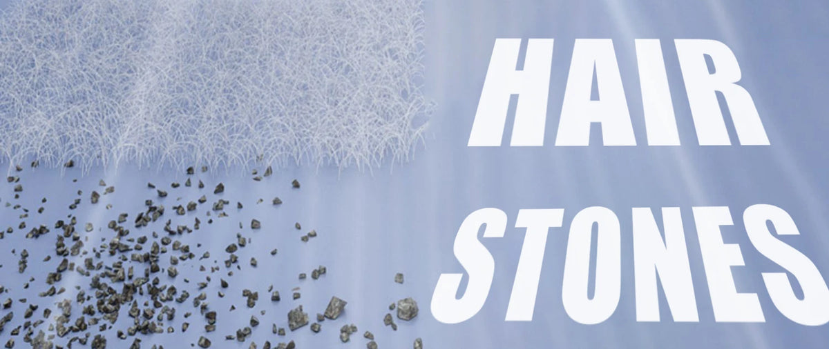 MAX™ 998KPA Portable Vacuum Cleaner