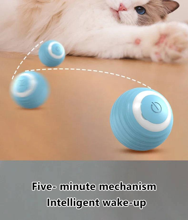 🐾 Smart Rotating Pet Ball